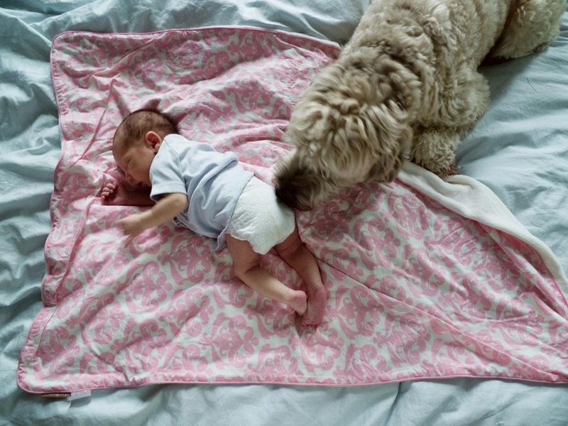 Фотограф,  Филипп Толедано, Phillip Toledano, любовь к дочке, Лулу, Карла