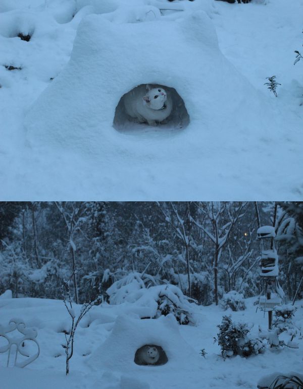 Позитив, юмор, смешные фотографии,прикол