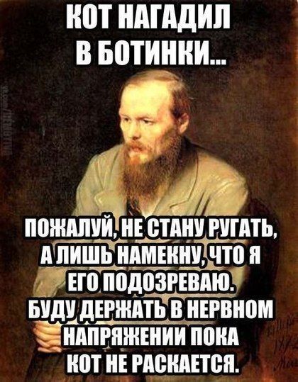 Позитив, юмор, смешные фотографии,прикол