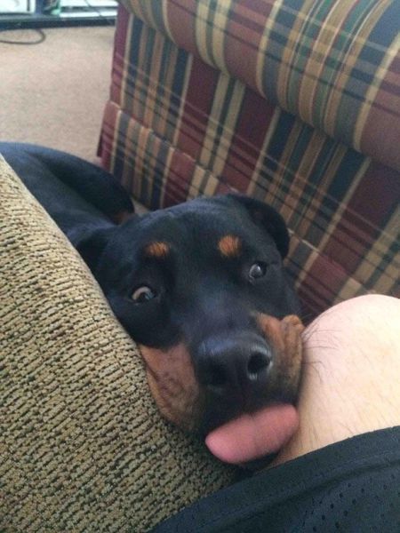 Позитив, юмор, смешные фотографии,прикол