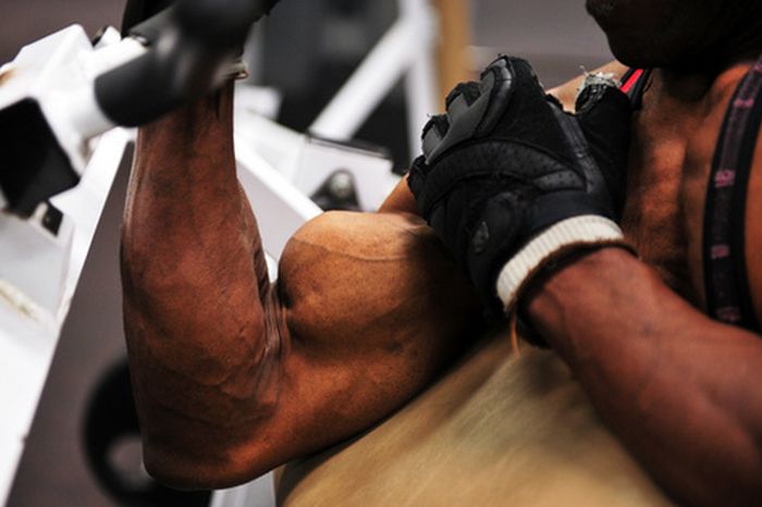 бодибилдинг, культурист, 70-летний культурист, Сэм Брайант, Sam 'Sonny' Bryant