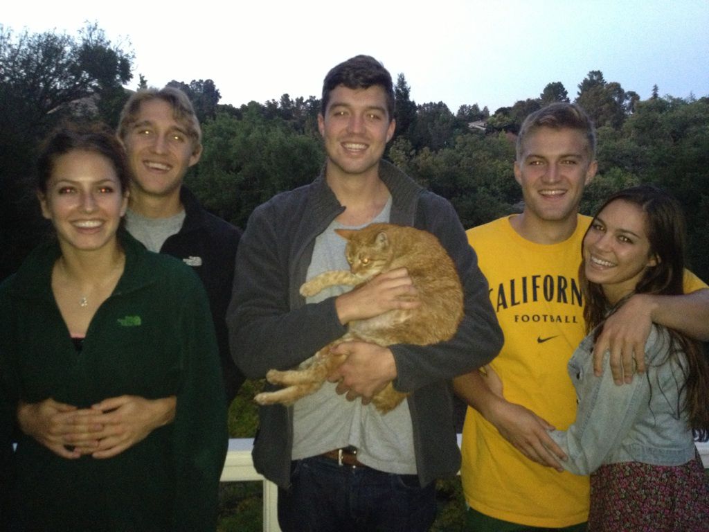 Любовь, сложная, трудная, вещ, штука, смешные фотографии