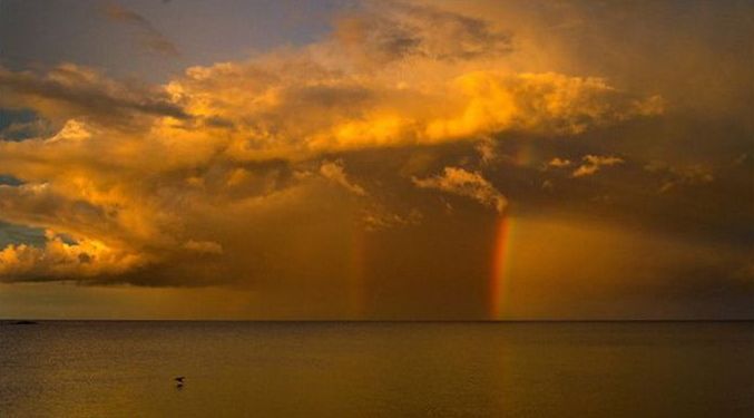 Экскурсия по затонувшим кораблям с подводным археологом Экскурсия,путешествие, затонувшие корабли,подводный археолог, Виктор Лягушкин