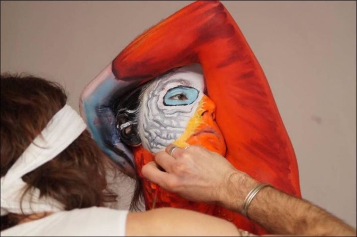 художник Йоханнес Стоеттер, Johannes Stoetter, девушка попугай боди-арт, девушка раскрашена как попугай