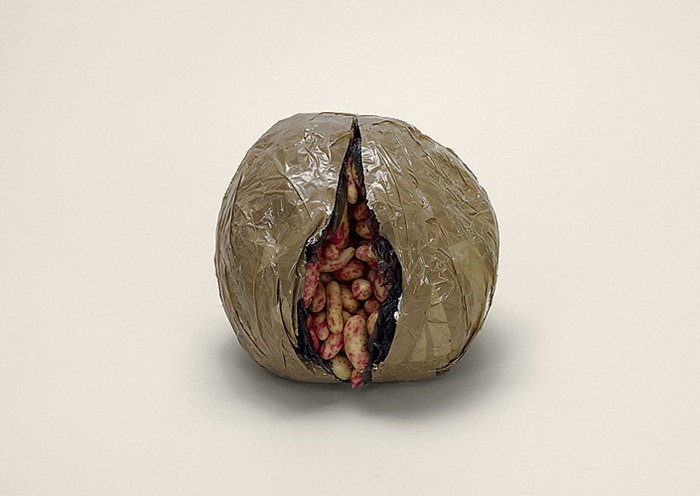 Проект Проект Контрабанда, фотограф Тарин Саймон, Taryn Simon, вещи задержанные на таможне