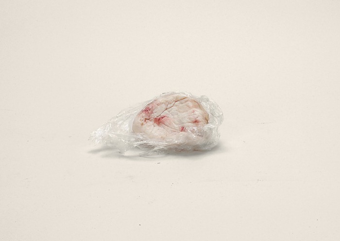 Проект Проект Контрабанда, фотограф Тарин Саймон, Taryn Simon, вещи задержанные на таможне