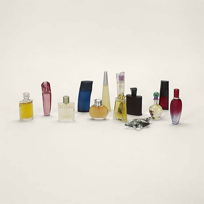 Проект Проект Контрабанда, фотограф Тарин Саймон, Taryn Simon, вещи задержанные на таможне