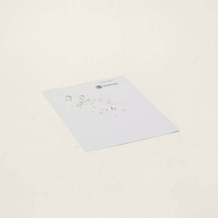 Проект Проект Контрабанда, фотограф Тарин Саймон, Taryn Simon, вещи задержанные на таможне