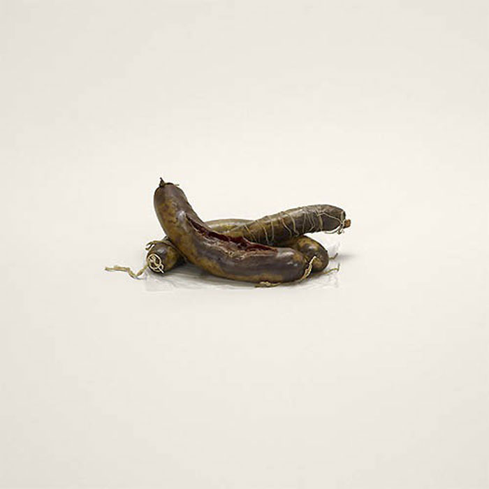 Проект Проект Контрабанда, фотограф Тарин Саймон, Taryn Simon, вещи задержанные на таможне