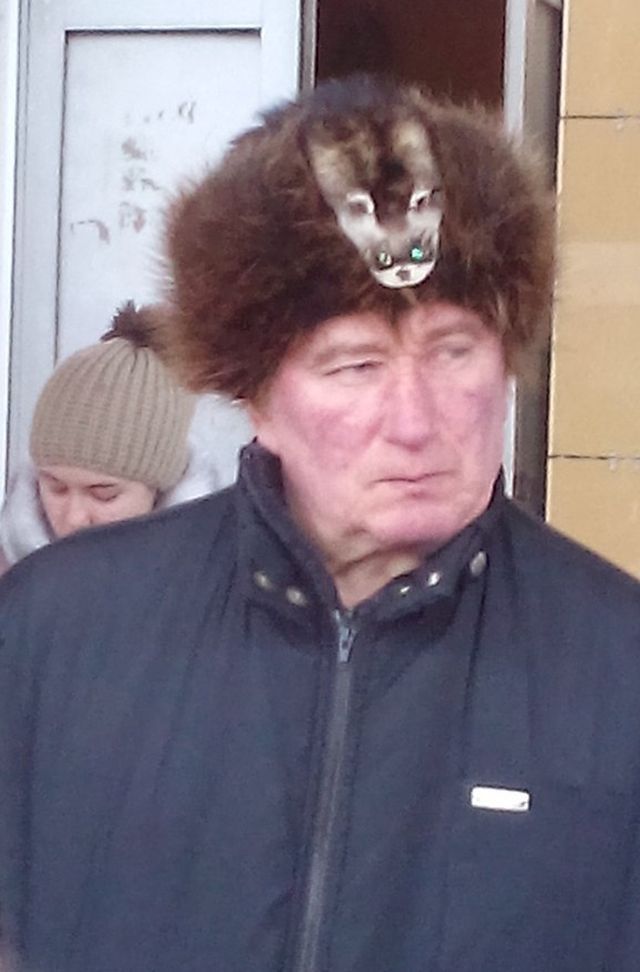 умом россию не понять, угадай страну, россия удивительная страна