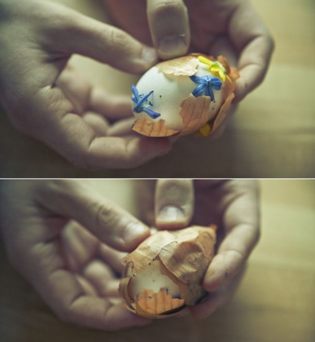 окраска яиц Пасха, луковая шелуха красить яйца, вариант покраски яиц