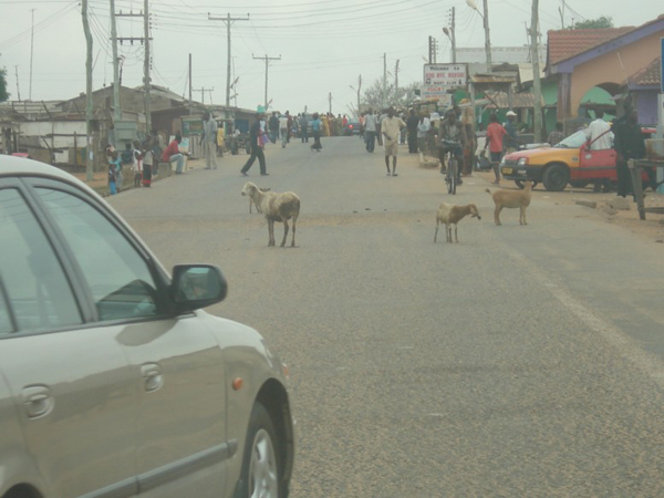 случаи на дорогах африка, проезжая по африке, дороги африка