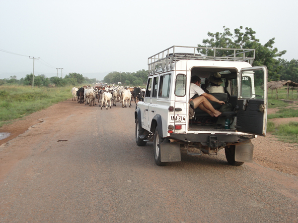 случаи на дорогах африка, проезжая по африке, дороги африка