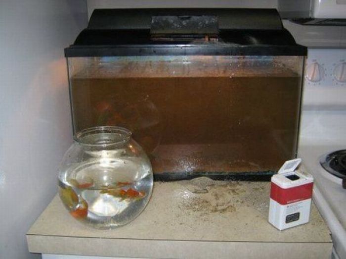 дети шалят, уничтожено детьми, маленькие хулиганы