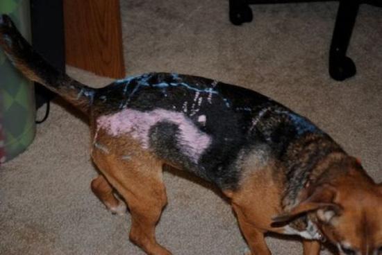 дети шалят, уничтожено детьми, маленькие хулиганы