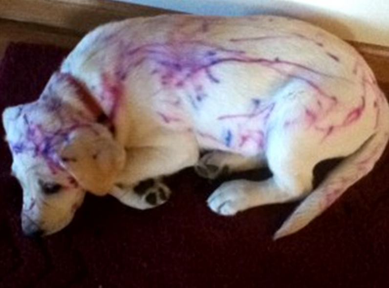 дети шалят, уничтожено детьми, маленькие хулиганы