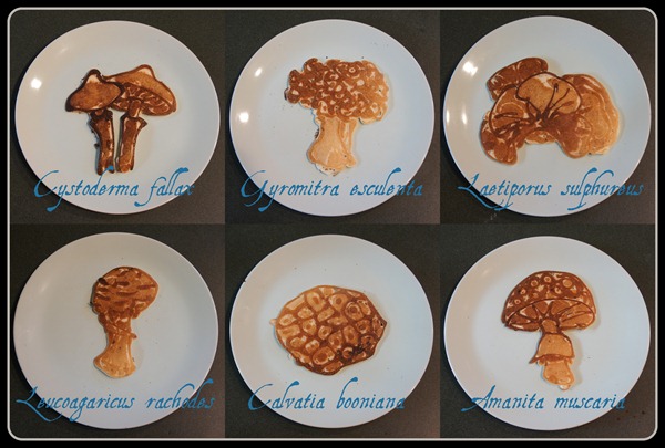 познавательные блины, папа печет творческие блины, блины в виде животных