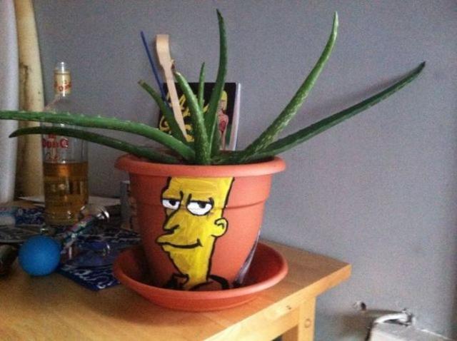 Позитив, юмор, смешные фотографии 