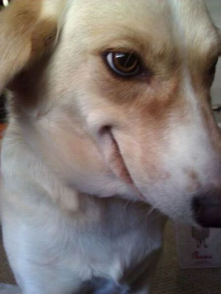 Позитив, юмор, смешные фотографии 