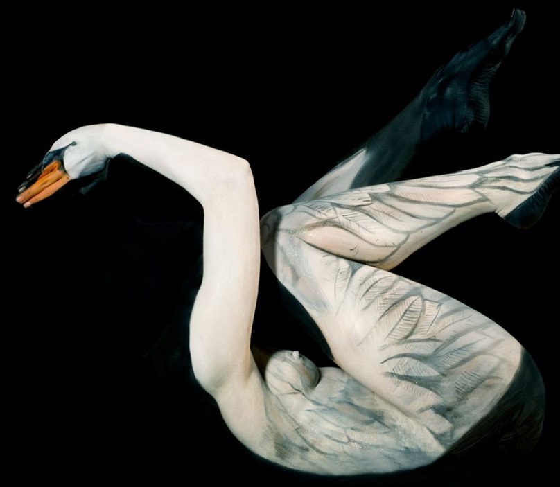 животный боди-арт, боди арт в виде животных