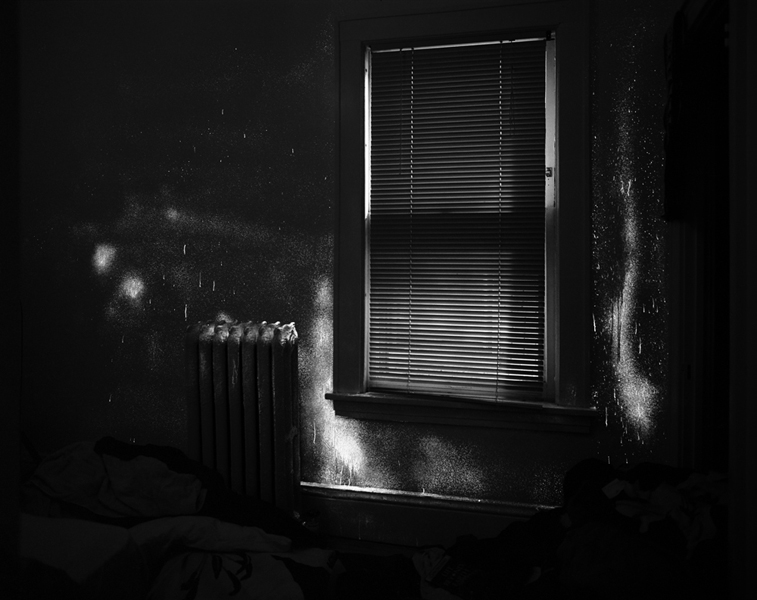 Светящиеся следы крови, Анжела Страссхайм, Angela Strassheim, фотограф криминалист