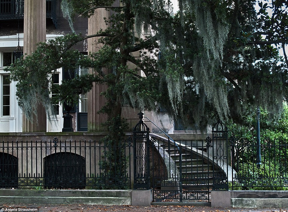 Светящиеся следы крови, Анжела Страссхайм, Angela Strassheim, фотограф криминалист