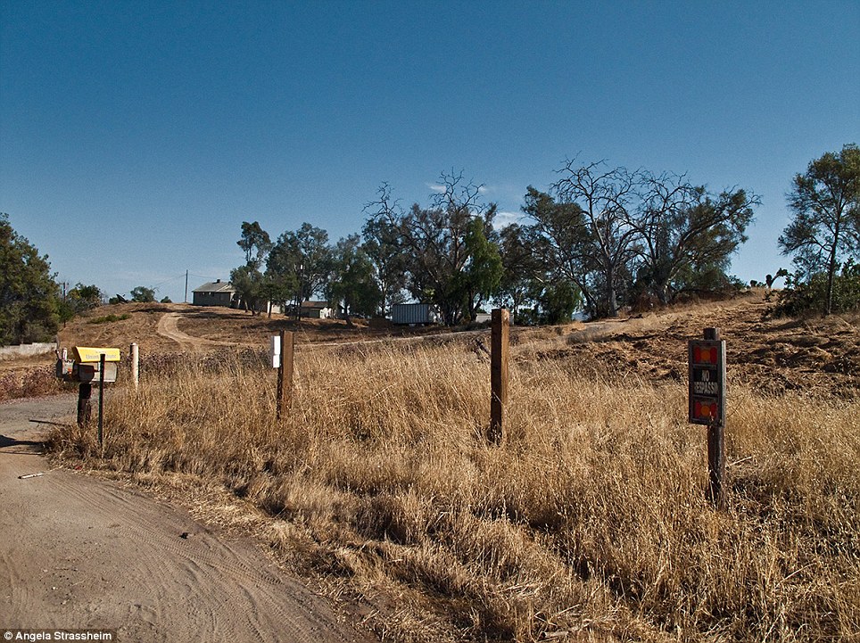 Светящиеся следы крови, Анжела Страссхайм, Angela Strassheim, фотограф криминалист