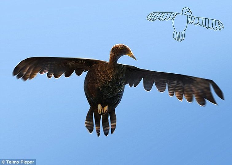 Перерисовывает свои детские рисунки, Тельпо Пипер, Telmo Pieper, реальные животные детские рисунки