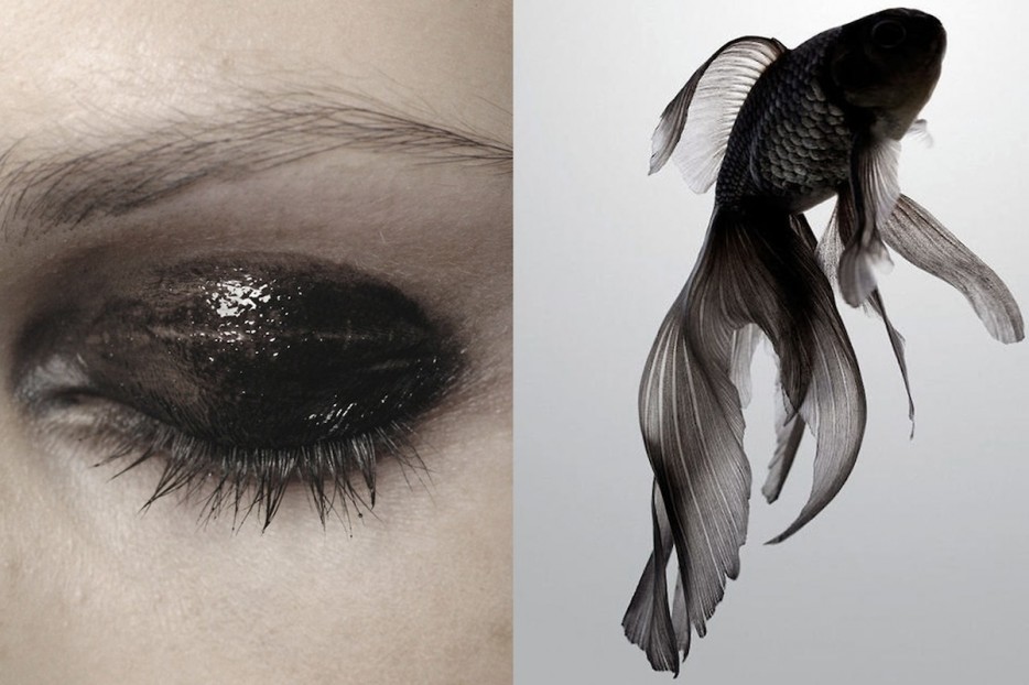 Необычные вещи, которые вдохновили дизайнера на создание потрясающих нарядов Наряды вдохновленные вещами, дизайнер вдохновение необычные вещи, Бьянка Луини, Bianca Luini