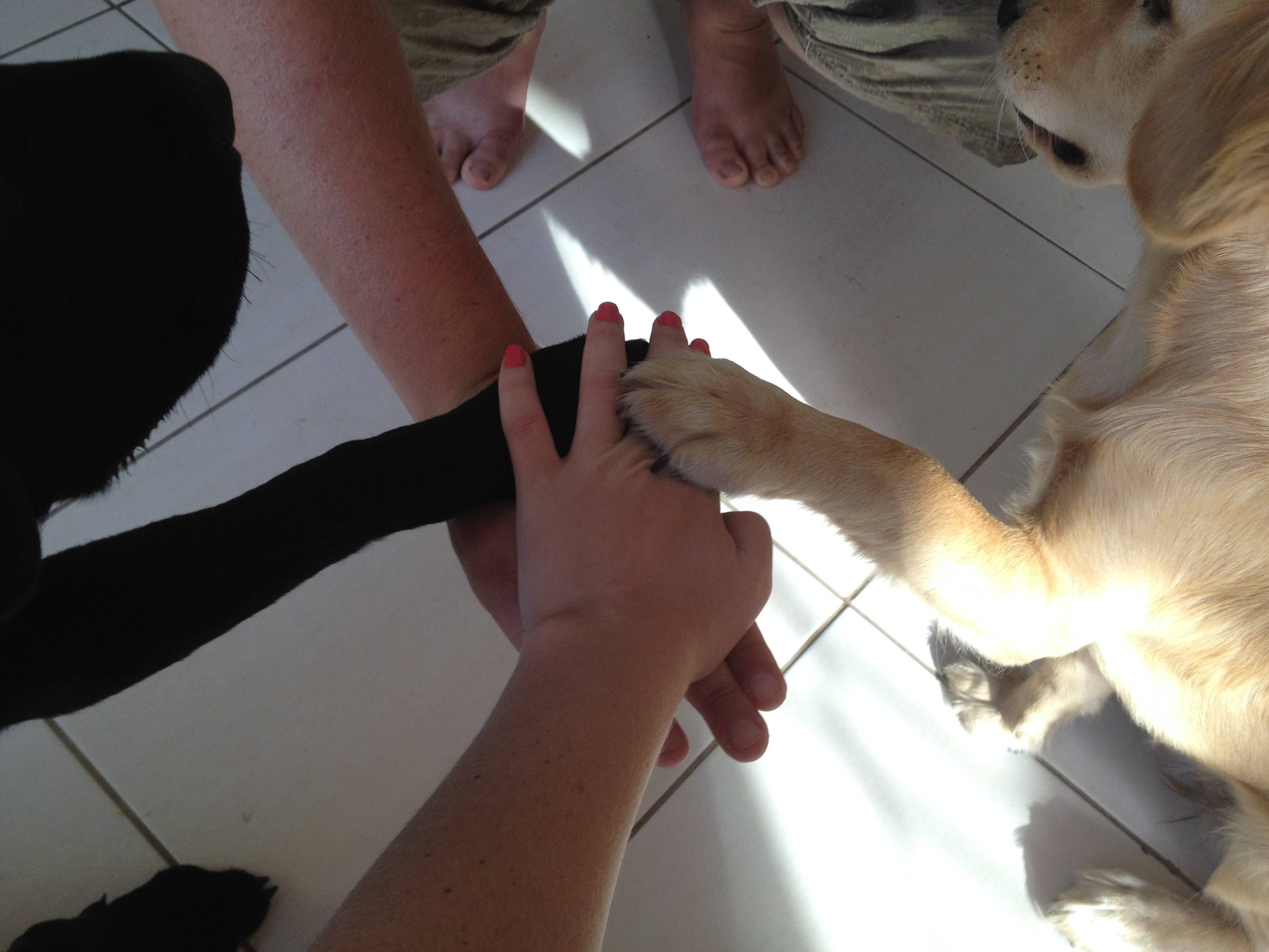 трогательные моменты, милые фотографии, трогающие сникми