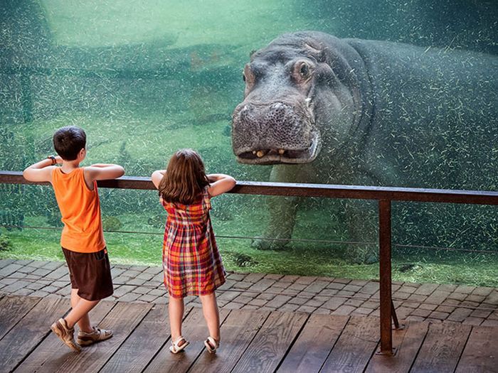 трогательные моменты, милые фотографии, трогающие сникми