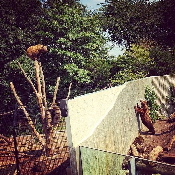 трогательные моменты, милые фотографии, трогающие сникми