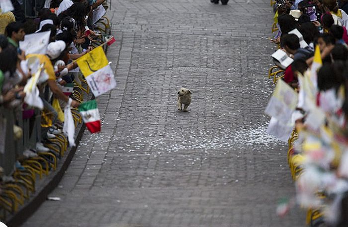 трогательные моменты, милые фотографии, трогающие сникми