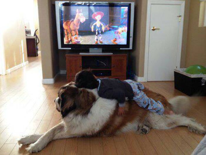 трогательные моменты, милые фотографии, трогающие сникми