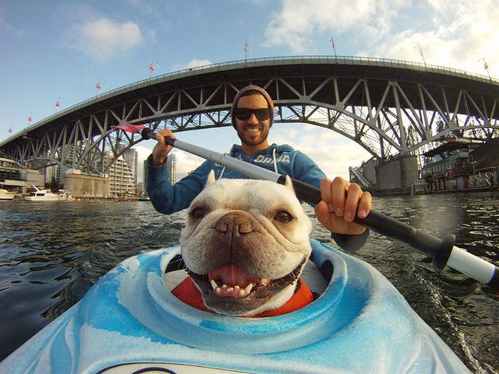 трогательные моменты, милые фотографии, трогающие сникми