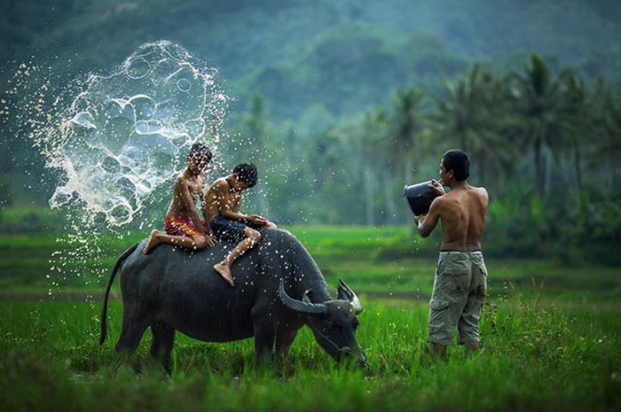 трогательные моменты, милые фотографии, трогающие сникми