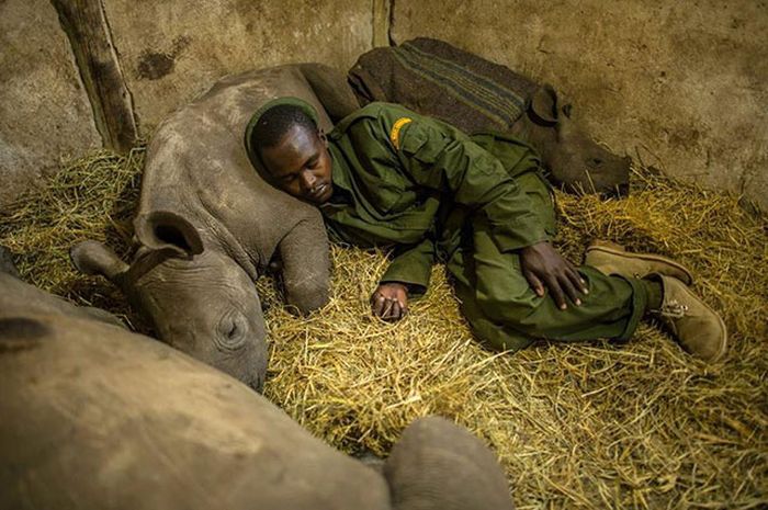 трогательные моменты, милые фотографии, трогающие сникми