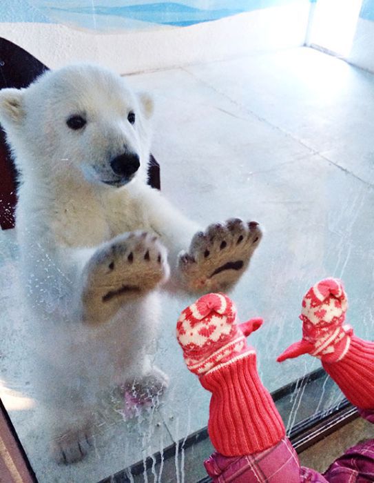 трогательные моменты, милые фотографии, трогающие сникми