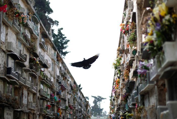 Гватемала ломают могилы, Гватемала эксгумируют тела из склепов, Гватемала достают трупы из могил