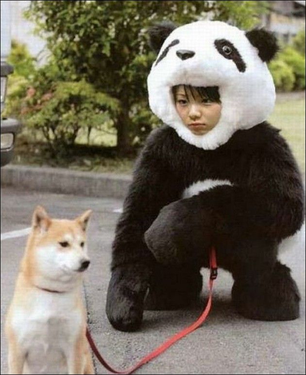 Порция безумств от японцев, которые видят этот мир по-своему сумасшедшие японцы, тем временем в Японии