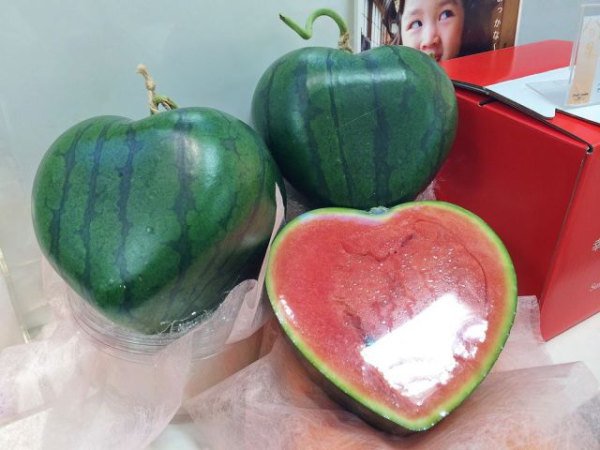 Порция безумств от японцев, которые видят этот мир по-своему сумасшедшие японцы, тем временем в Японии