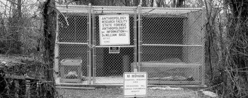 Freeman Ranch, Ранчо Фримена, фермы изучающие разложение человеческих тел, ферма тела разлагаются