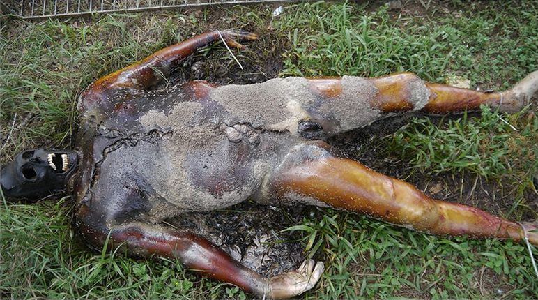 Freeman Ranch, Ранчо Фримена, фермы изучающие разложение человеческих тел, ферма тела разлагаются