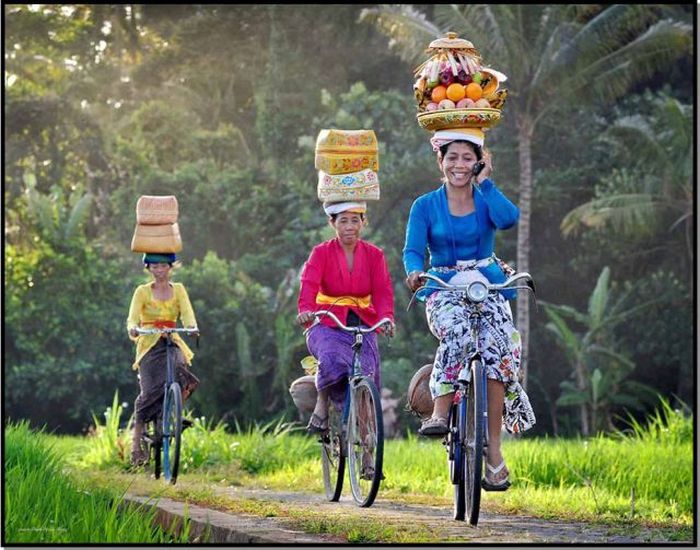 современные Цезари, несколько дел одновременно, люди, смешное