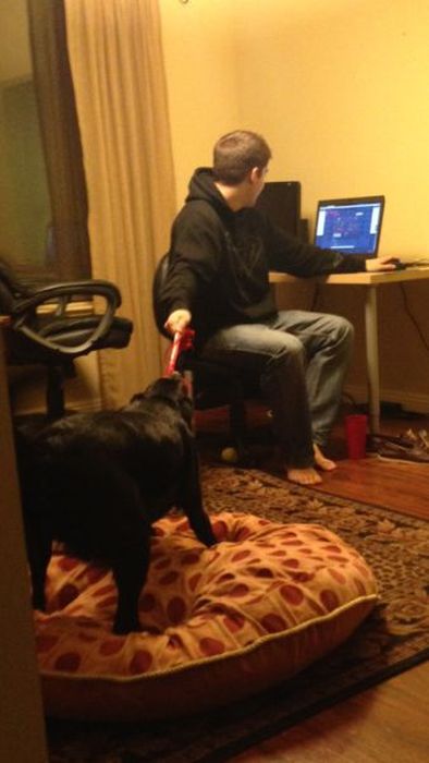 современные Цезари, несколько дел одновременно, люди, смешное