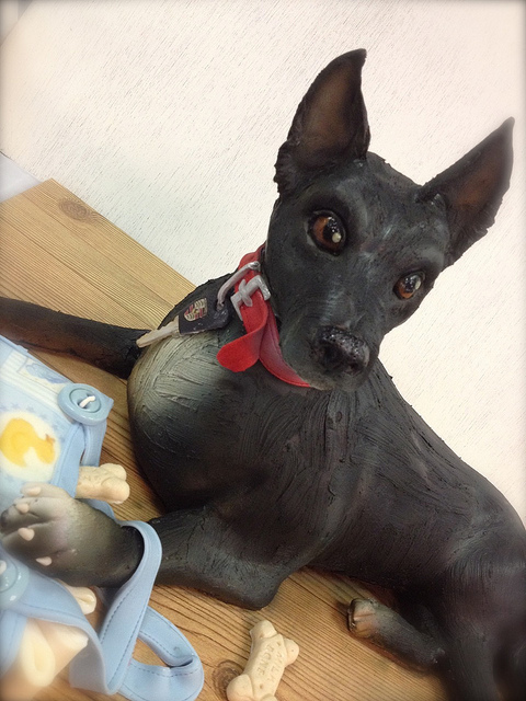 гиперреализм, необычные торты, Дебби Гоард, Debbie Goard, Debbie Does Cakes