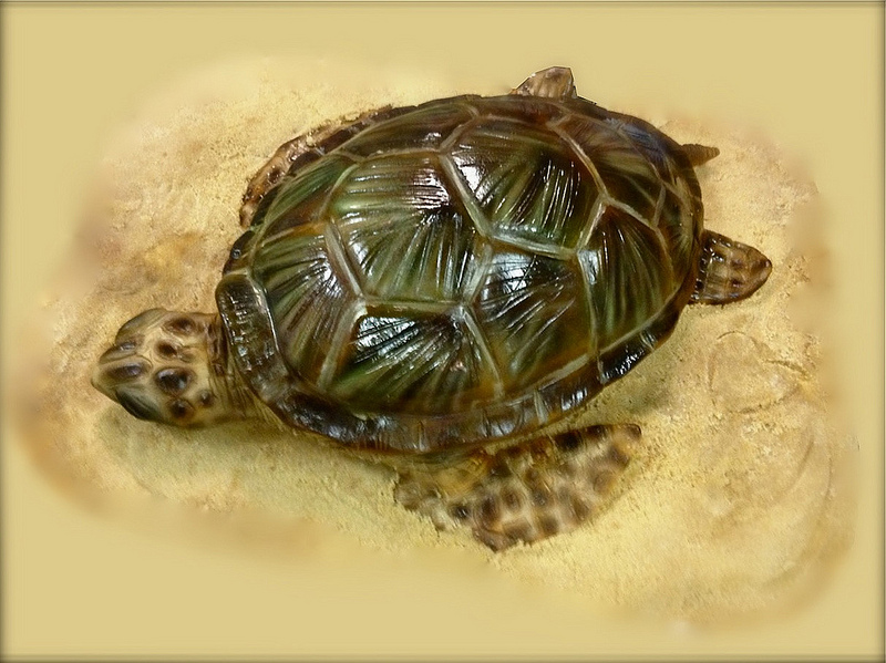 гиперреализм, необычные торты, Дебби Гоард, Debbie Goard, Debbie Does Cakes