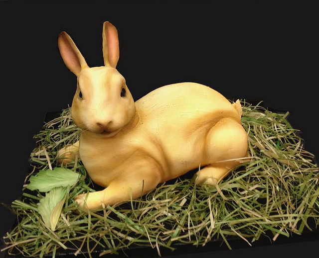 гиперреализм, необычные торты, Дебби Гоард, Debbie Goard, Debbie Does Cakes