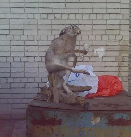 умом россию не понять, угадай страну, россия удивительная страна