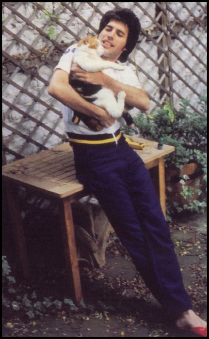 редкие кадры, архивные фото, знаменитости